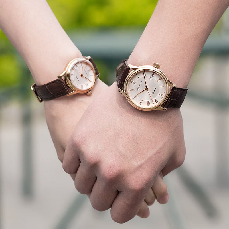 Seagull Men's Mechanical Watch - Omega Watch Constellation review and price